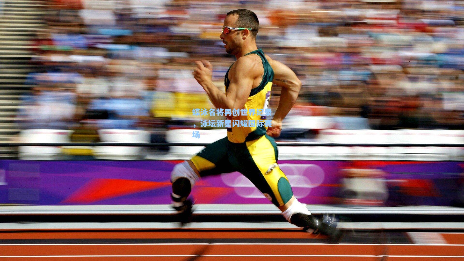 蝶泳名将再创世界纪录，泳坛新星闪耀国际赛场